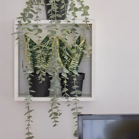 Historic Alfama Delight, By Timecooler Lisboa